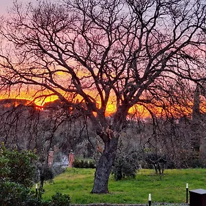 Bee Bed & Breakfast Frascati